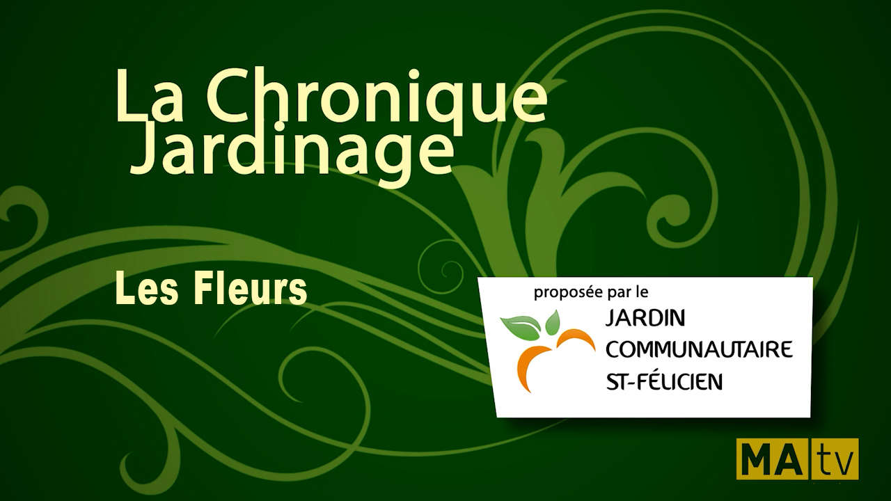 Les fleurs